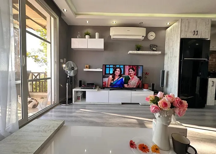 Daire Modern